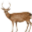 footer-bambi
